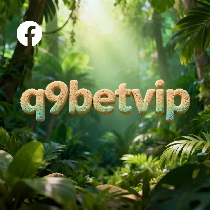 Página oficial da q9betvip no Facebook